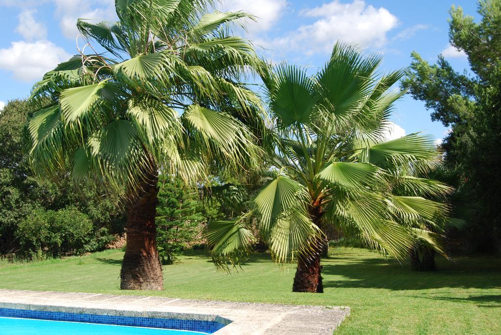 Finca Son Vivot Exterior foto